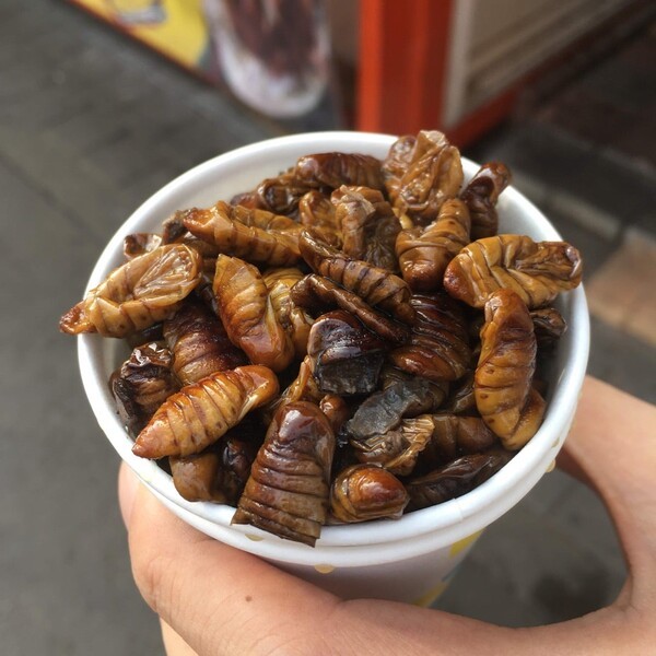 ameblo