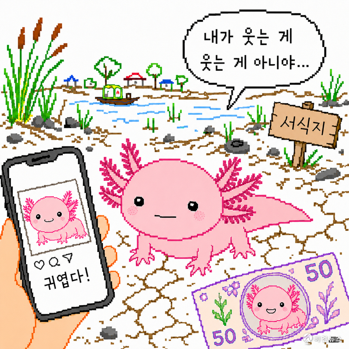 비건뉴스