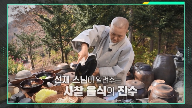 비건뉴스