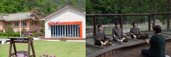 비건뉴스
