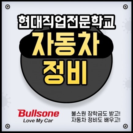 비건뉴스