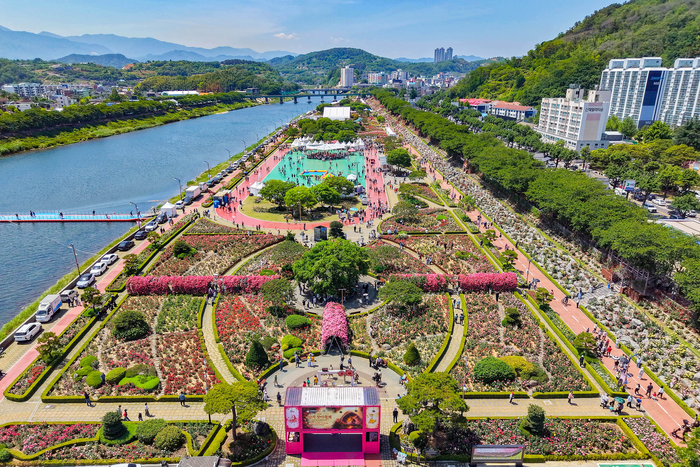 2026 삼척 장미축제장 전경. 사진|삼척시청