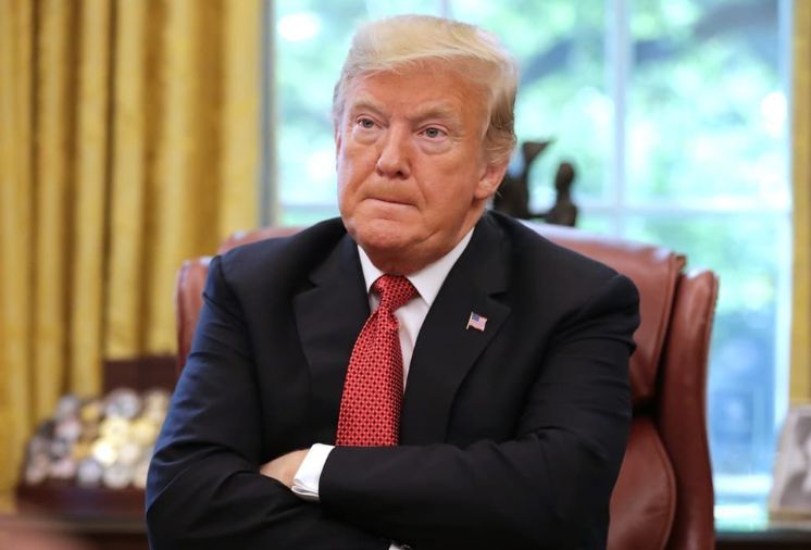 Donald Trump / Credit: X