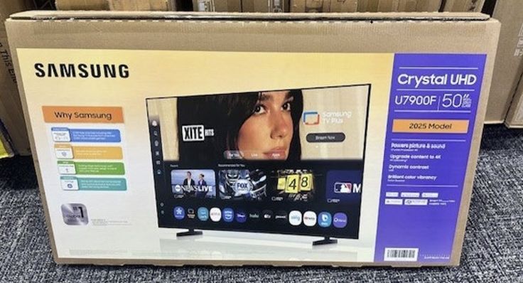 Dua Lipa\'s image was allegedly used without her consent in a Samsung campaign, despite her ownership of the copyright to a 2024 photograph / Credit: US Central District Court of California