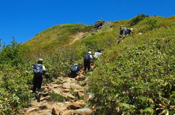 온라인 커뮤니티