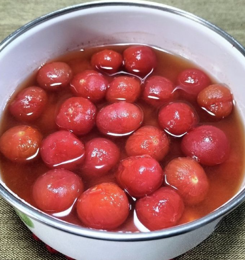 온라인 커뮤니티