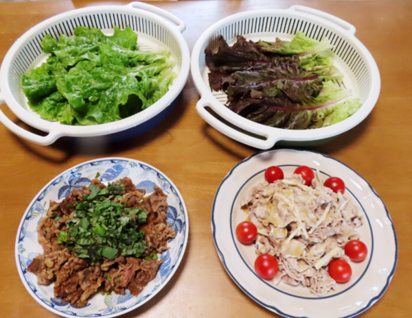 온라인 커뮤니티