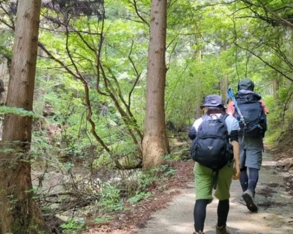 온라인 커뮤니티
