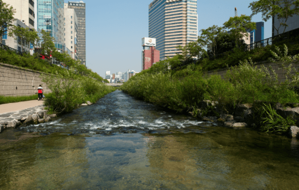 온라인 커뮤니티