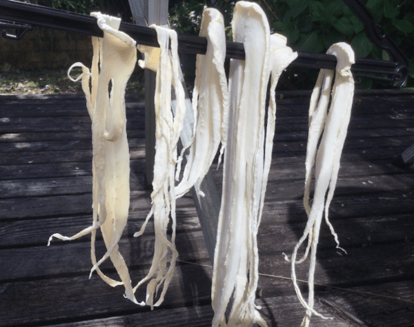 온라인 커뮤니티