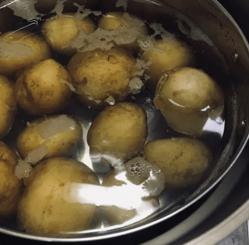 온라인 커뮤니티