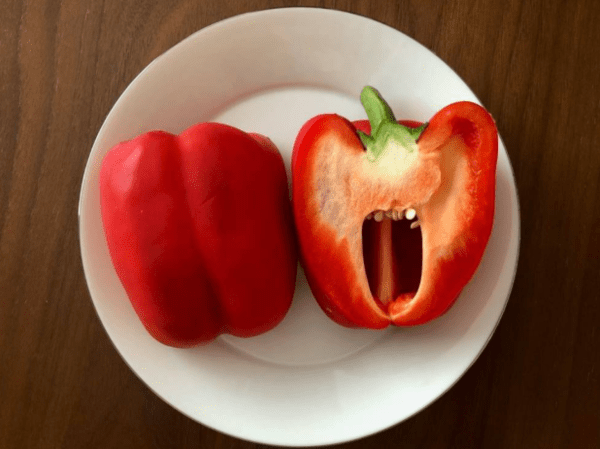온라인 커뮤니티