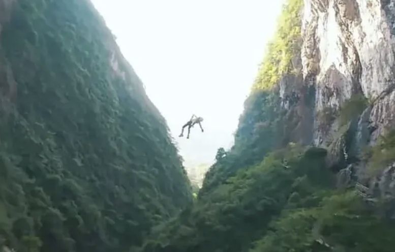 引用：百度