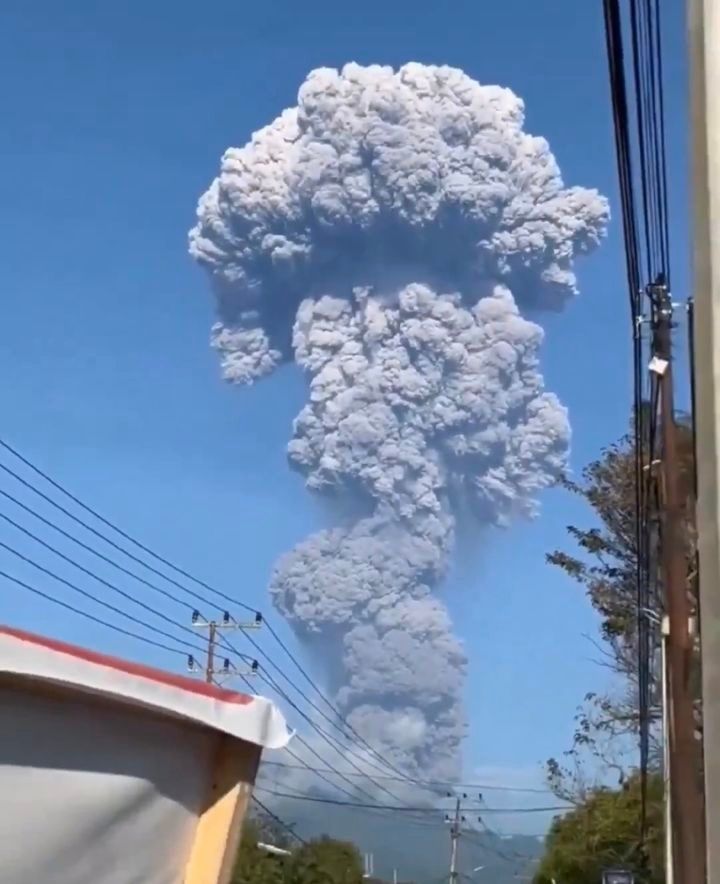 引用:X