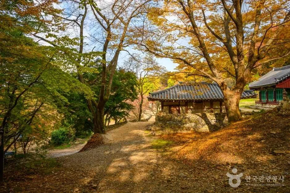 정글카페 - 서산 여행