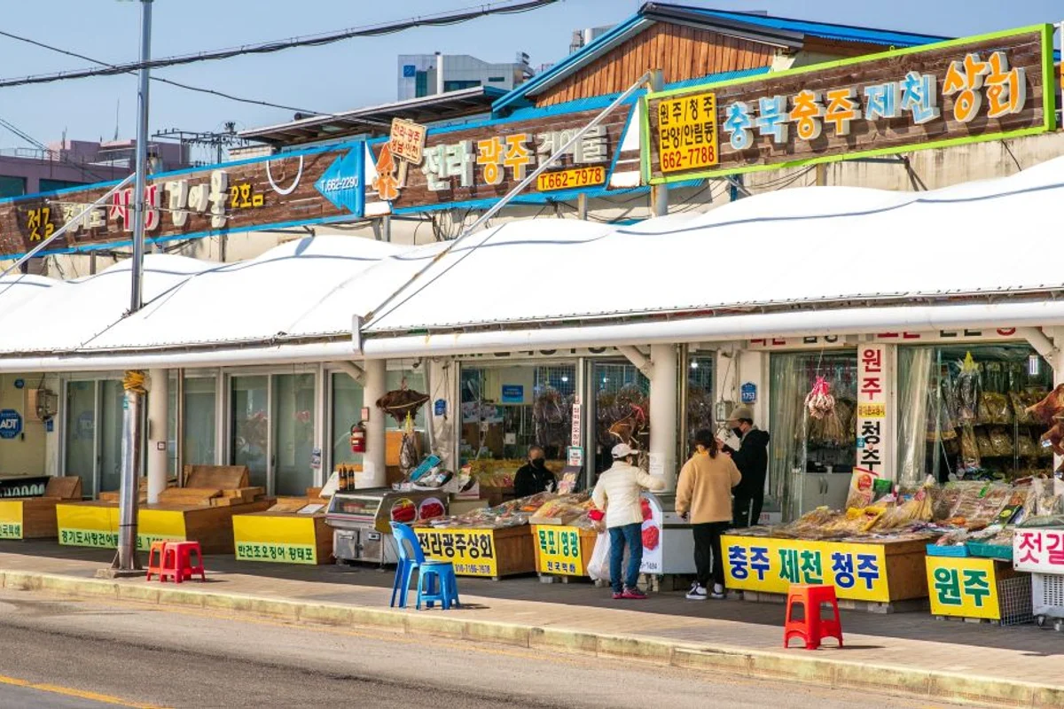 2026년 주문진가볼만한곳 추천 명소 - 주문진여행 여행