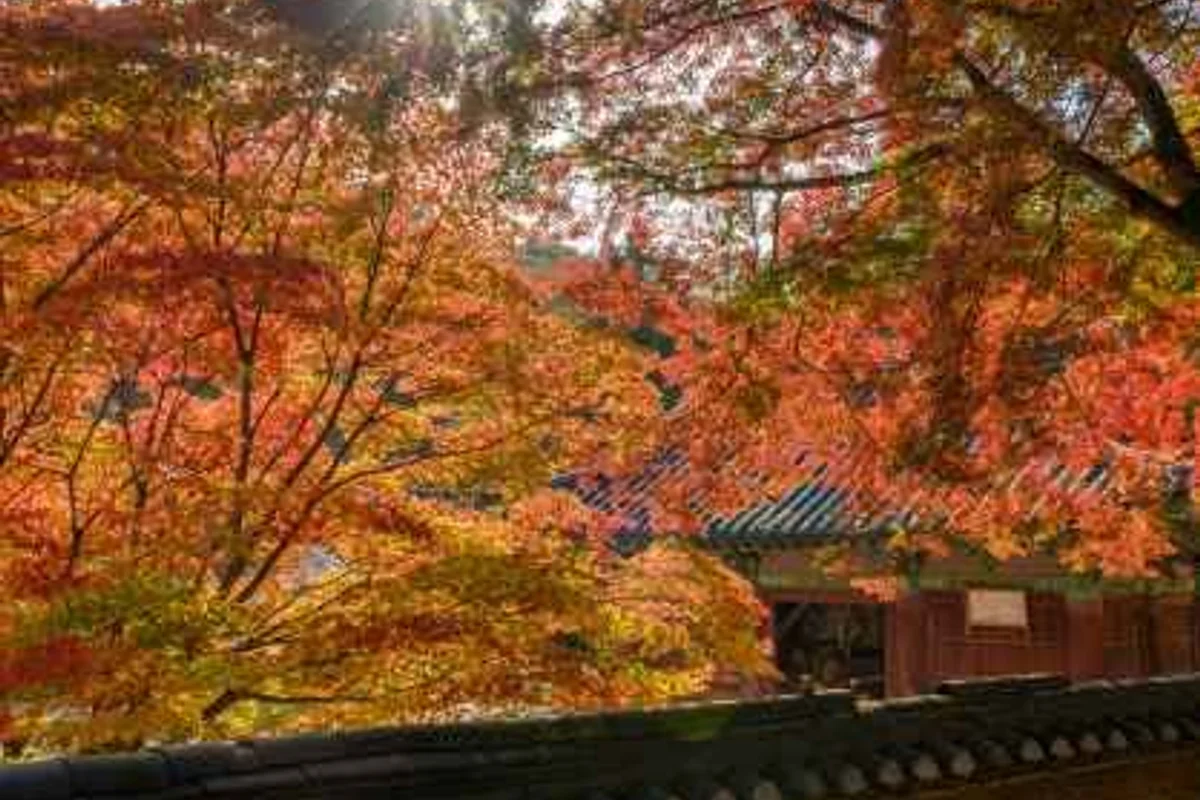 계룡산상신농촌체험휴양마을 - 공주여행 여행