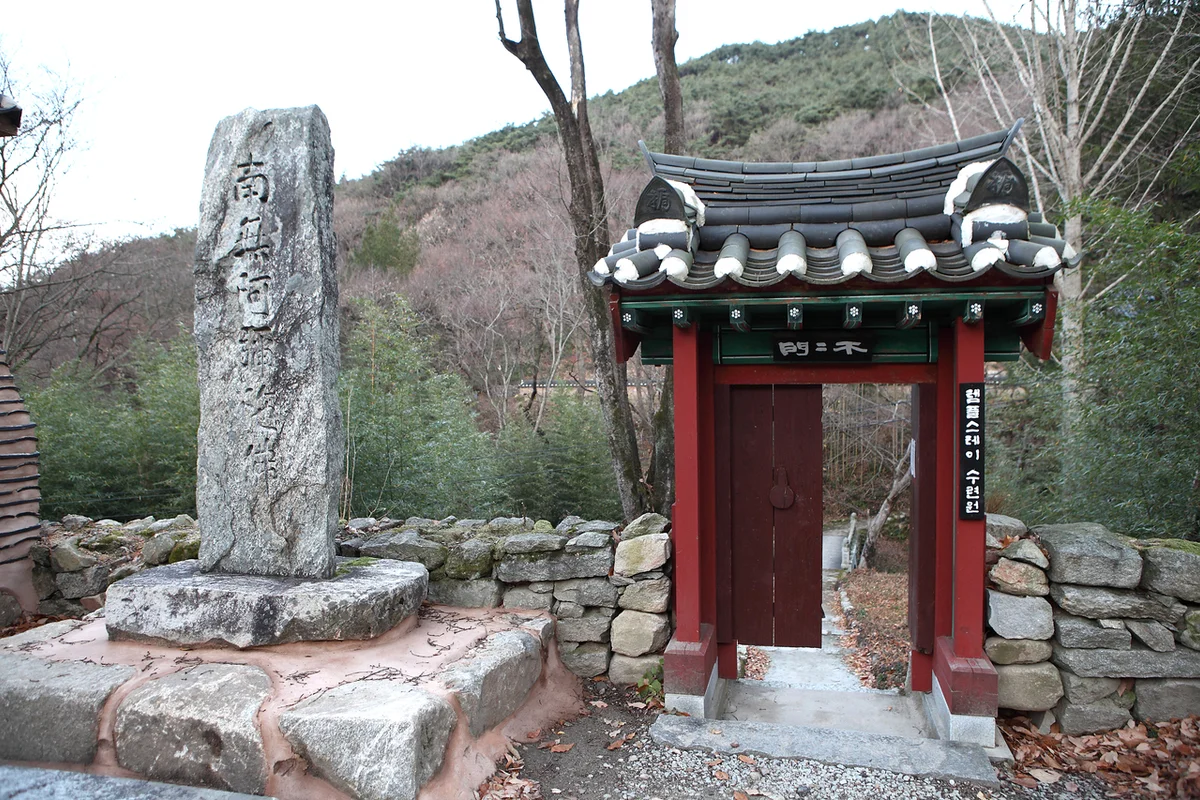 황령산유원지생태숲 - 문현템플스테이 여행