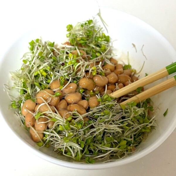 kurashinista