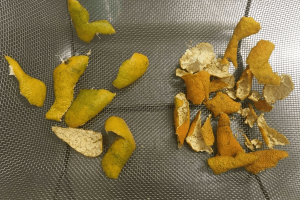 zero-waste-life