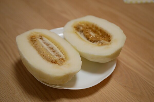 chiakippa