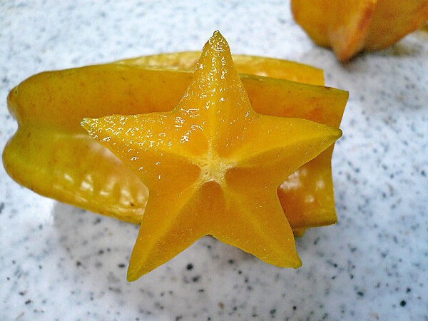 nangokunomori