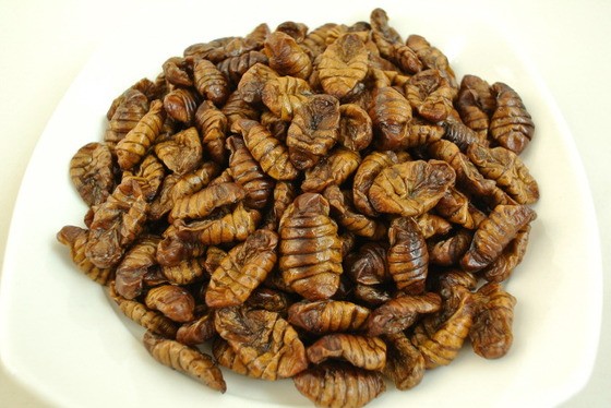 sirius-b