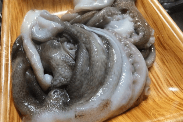 fish-eat
