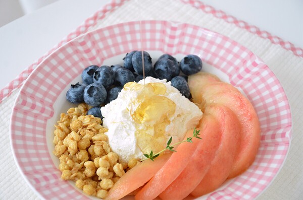 cotta