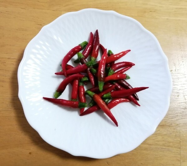 ameblo