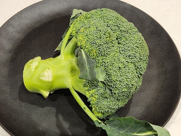 yomuno