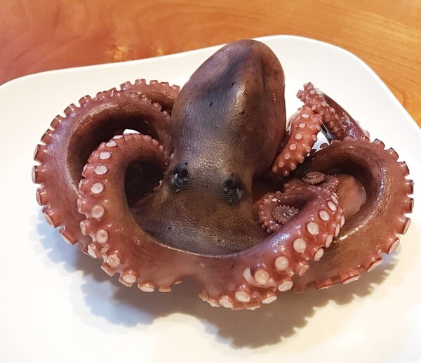 ameblo