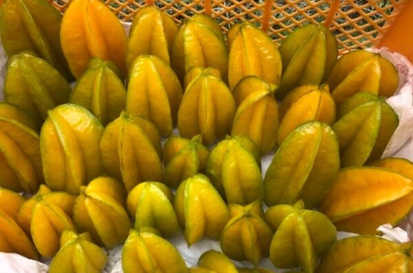 okinawan-avocado