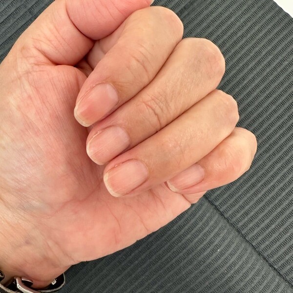 ameblo