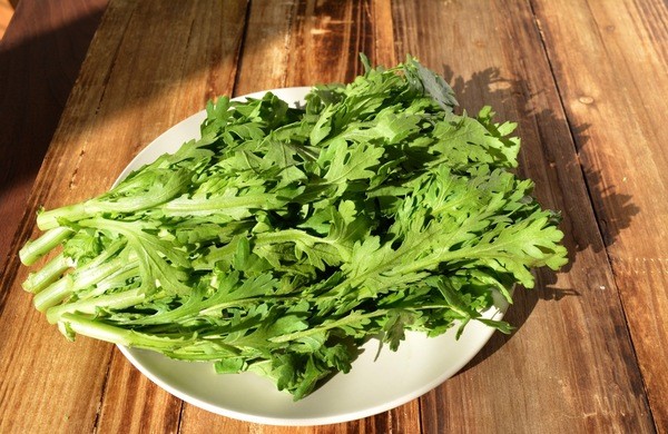 oishi-kenko