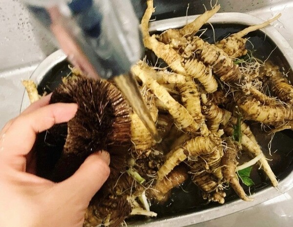 ameblo