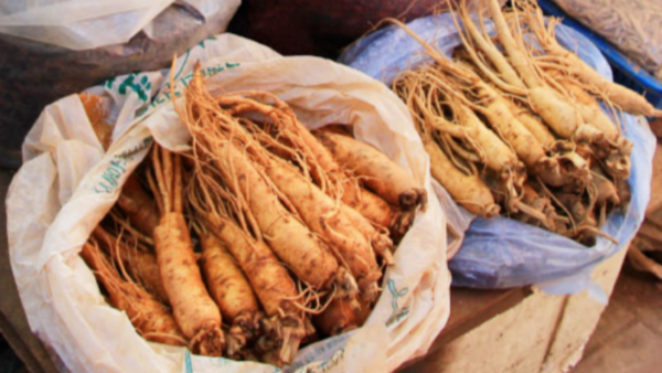 kouraininjin