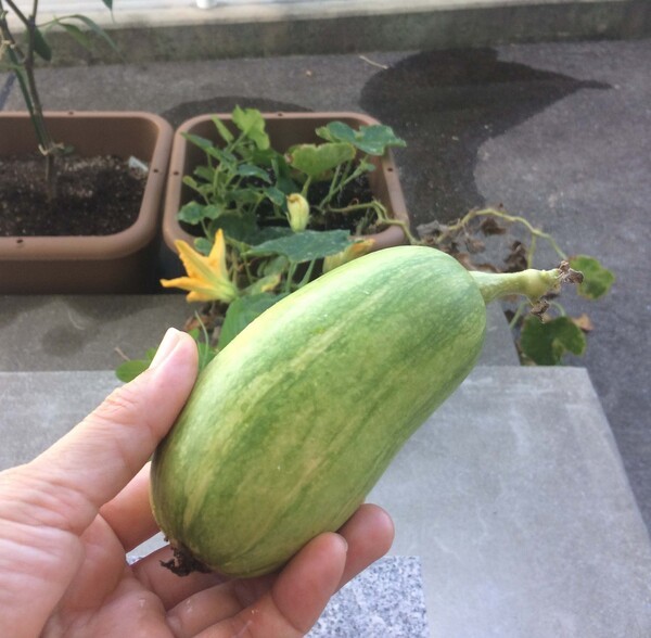 ameblo