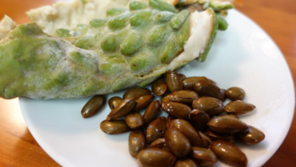frozenfoodpress