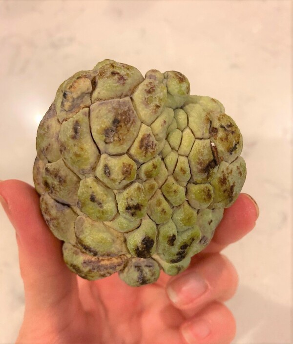 ameblo