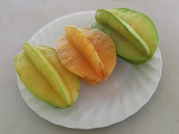 ameblo