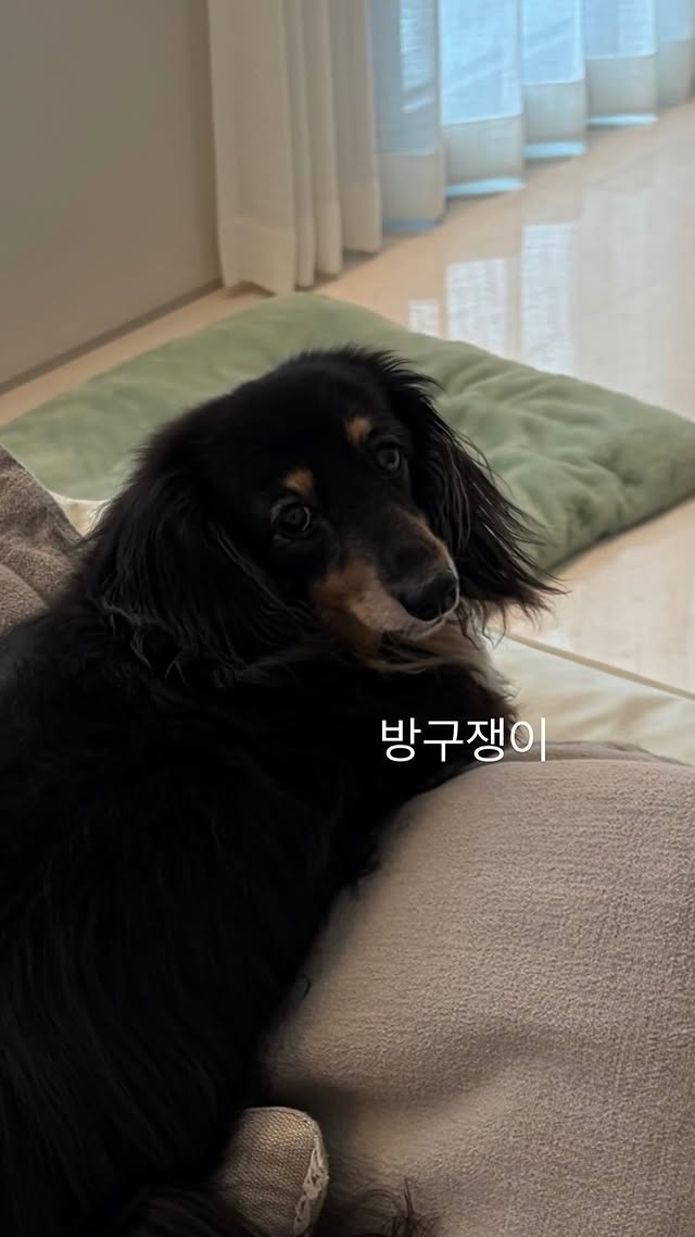 引用:チョン・ギョンホのInstagramアカウント