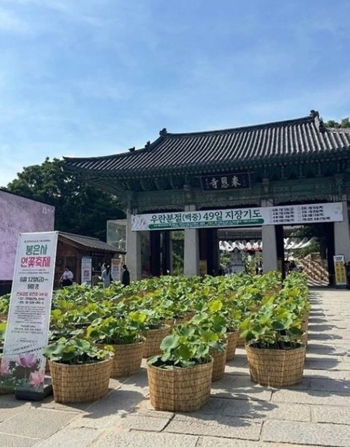 引用:FM Korea