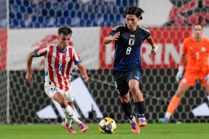 引用:ニューシス