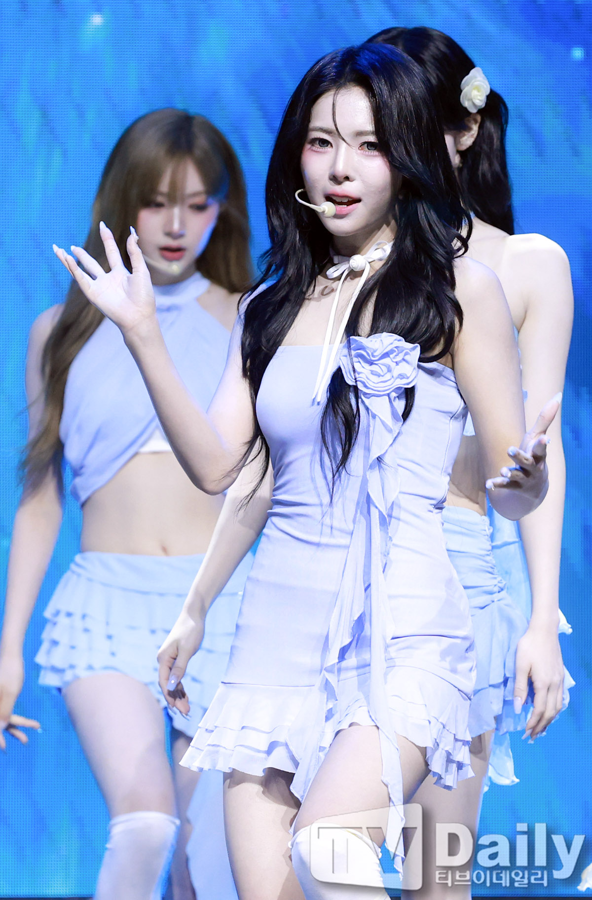 티브이데일리 포토
