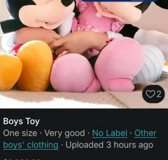 引用： Vinted