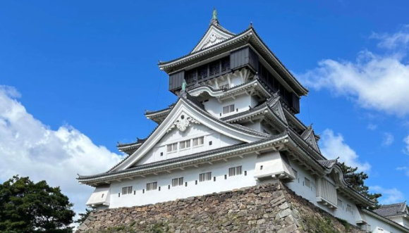 引用：ANABA JAPAN