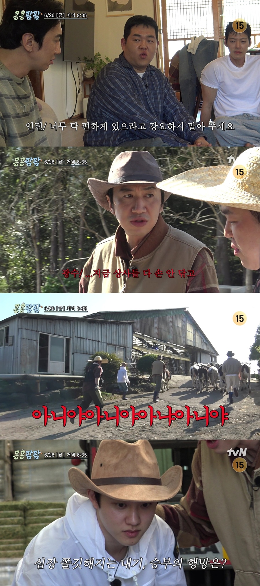 사진: tvN 제공