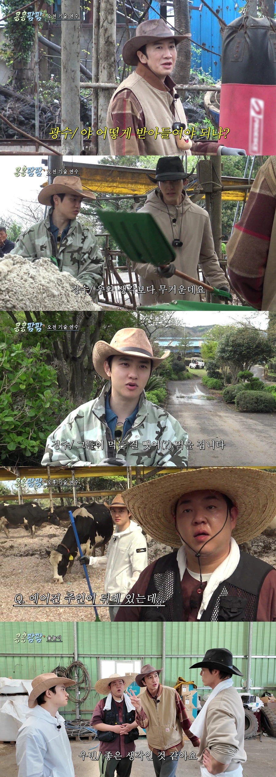 사진: tvN '콩콩팜팜' 방송 캡처