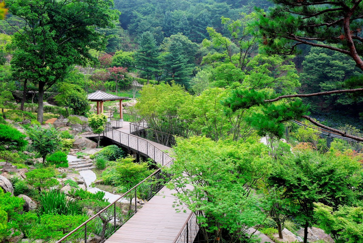 모노레일